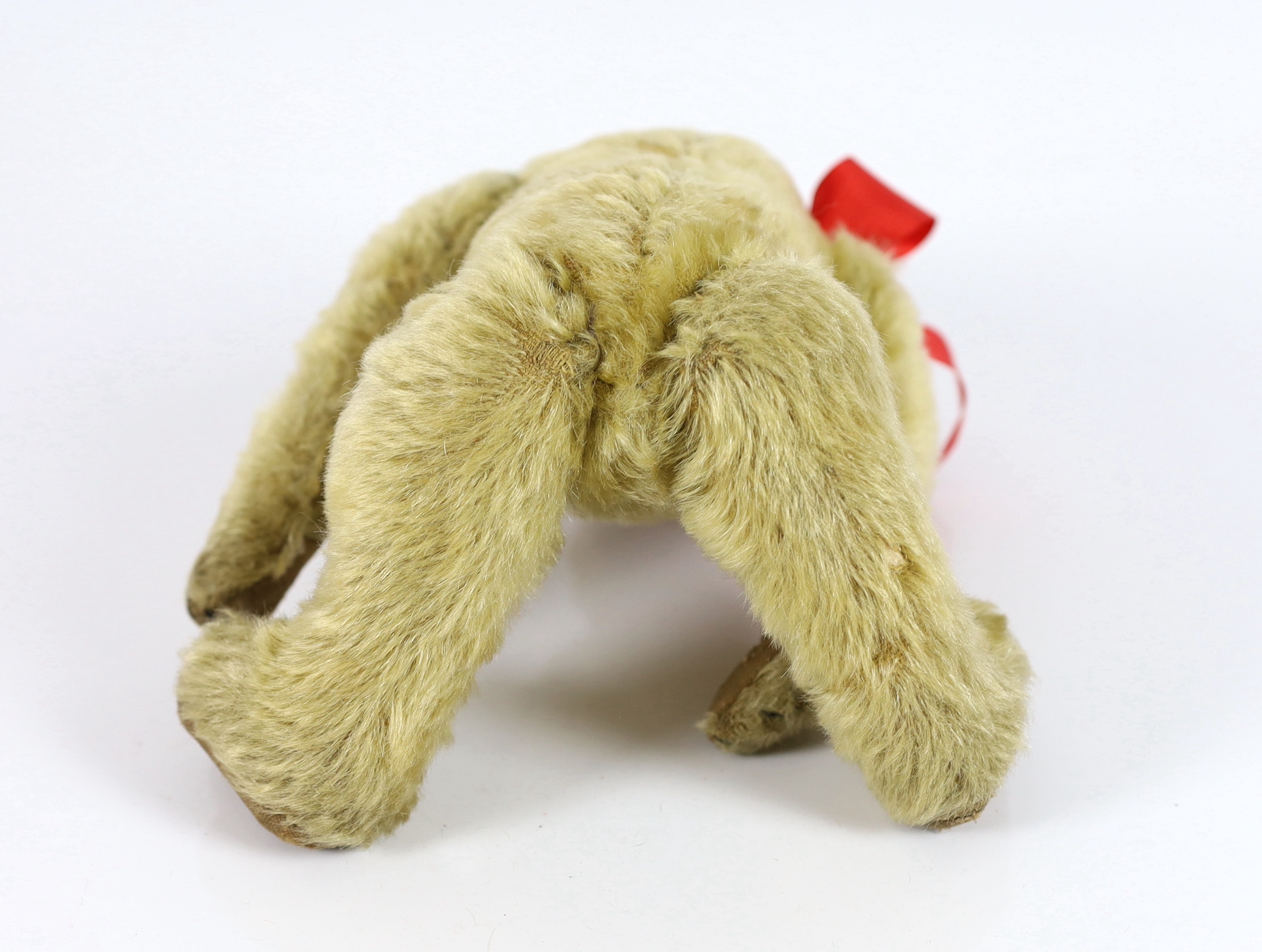 A Farnell bear, c.1912, black button eyes, 25cm, in very good condition